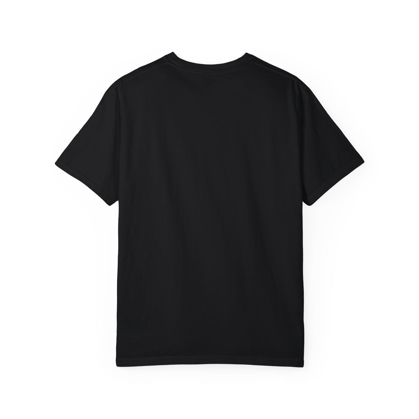 Unisex Garment-Dyed T-Shirt - 'Allegediddy' Definition Tee